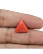 Red Coral (Moonga) - 8.58 Carat 