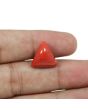 Red Coral (Moonga) - 10.35 Carat 