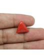 Red Coral (Moonga) - 10.35 Carat 