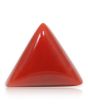 Red Coral (Moonga) - 5.57 Carat 