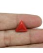 Red Coral (Moonga) - 5.57 Carat 