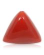 Red Coral (Moonga) - 5.66 Carat 