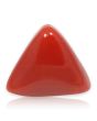 Red Coral (Moonga) - 5.66 Carat 