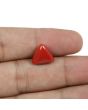 Red Coral (Moonga) - 5.66 Carat 