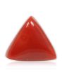 Red Coral (Moonga) - 5.58 Carat 