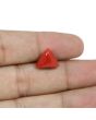 Red Coral (Moonga) - 5.58 Carat 