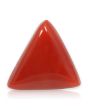 Red Coral (Moonga) - 6.05 Carat 