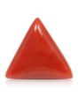 Red Coral (Moonga) - 5.88 Carat 