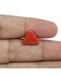 Red Coral (Moonga) - 5.88 Carat 