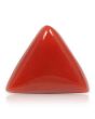 Red Coral (Moonga) - 5.59 Carat 