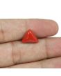 Red Coral (Moonga) - 5.59 Carat 