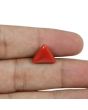 Red Coral (Moonga) - 5.59 Carat 