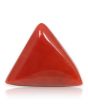 Red Coral (Moonga) - 5.53 Carat 