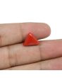 Red Coral (Moonga) - 5.53 Carat 