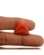 Red Coral (Moonga) - 28.62 Carat 