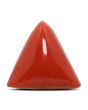 Red Coral (Moonga) - 12.53 Carat 