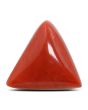 Red Coral (Moonga) - 12.53 Carat 