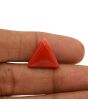 Red Coral (Moonga) - 12.53 Carat 