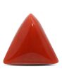 Red Coral (Moonga) - 11.91 Carat 