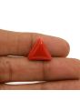 Red Coral (Moonga) - 11.91 Carat 