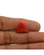 Red Coral (Moonga) - 11.91 Carat 