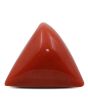 Red Coral (Moonga) - 12.99 Carat 