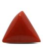 Red Coral (Moonga) - 12.99 Carat 