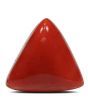 Red Coral (Moonga) - 15.54 Carat 