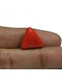 Red Coral (Moonga) - 15.54 Carat 