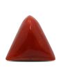 Red Coral (Moonga) - 14 Carat 