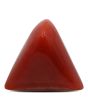 Red Coral (Moonga) - 14 Carat 
