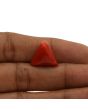 Red Coral (Moonga) - 14 Carat 