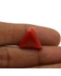 Red Coral (Moonga) - 14 Carat 