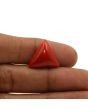 Red Coral (Moonga) - 11.23 Carat 