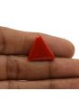 Red Coral (Moonga) - 11.23 Carat 