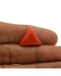 Red Coral (Moonga) - 12.53 Carat 