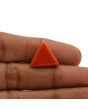 Red Coral (Moonga) - 12.53 Carat 