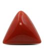Red Coral (Moonga) - 13.28 Carat 