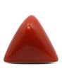 Red Coral (Moonga) - 13.28 Carat 