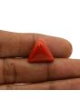 Red Coral (Moonga) - 13.28 Carat 