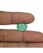 Brazil Emerald (Panna) - 7.98 Carat