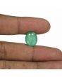 Brazil Emerald (Panna) - 7.98 Carat