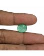 Brazil Emerald (Panna) - 7.98 Carat