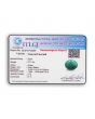 Brazil Emerald (Panna) - 5.71 Carat