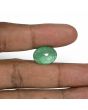 Brazil Emerald (Panna) - 11.71 Carat
