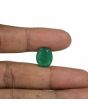 Brazil Emerald (Panna) - 9.3 Carat