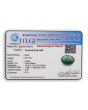 Brazil Emerald (Panna) - 9.01 Carat