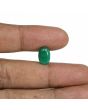 Zambian Emerald (Panna) - 3.8 Carat