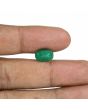 Zambian Emerald (Panna) - 3.8 Carat