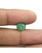 Zambian Emerald (Panna) - 3.5 Carat